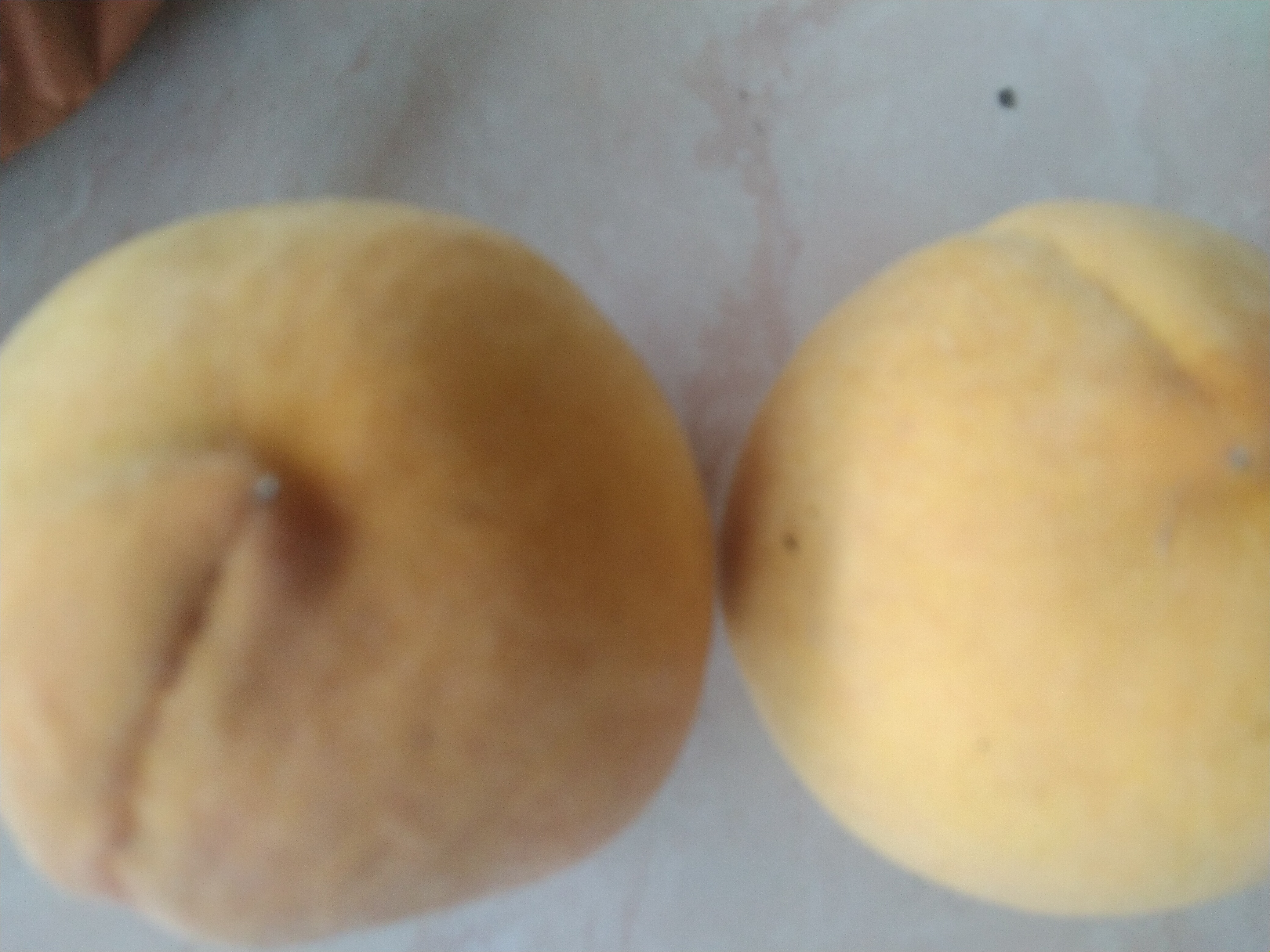 黄金梨与丰水梨切面对比图