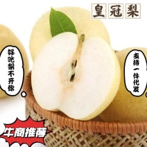 山东皇冠梨/黄金梨/沙土地生长/口感更佳/来电咨询优惠