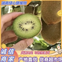 湖南湘西绿心猕猴桃产地一手货源货源充足实力代发全国