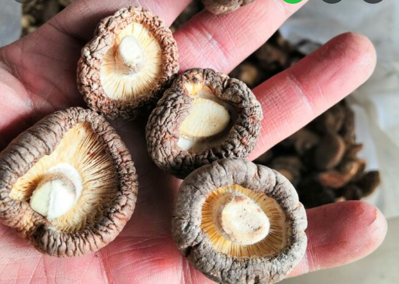 干香菇清洗过程