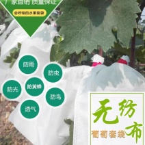 无纺布水果套袋露天葡萄套袋防鸟防水防虫防菌透气自带扎丝