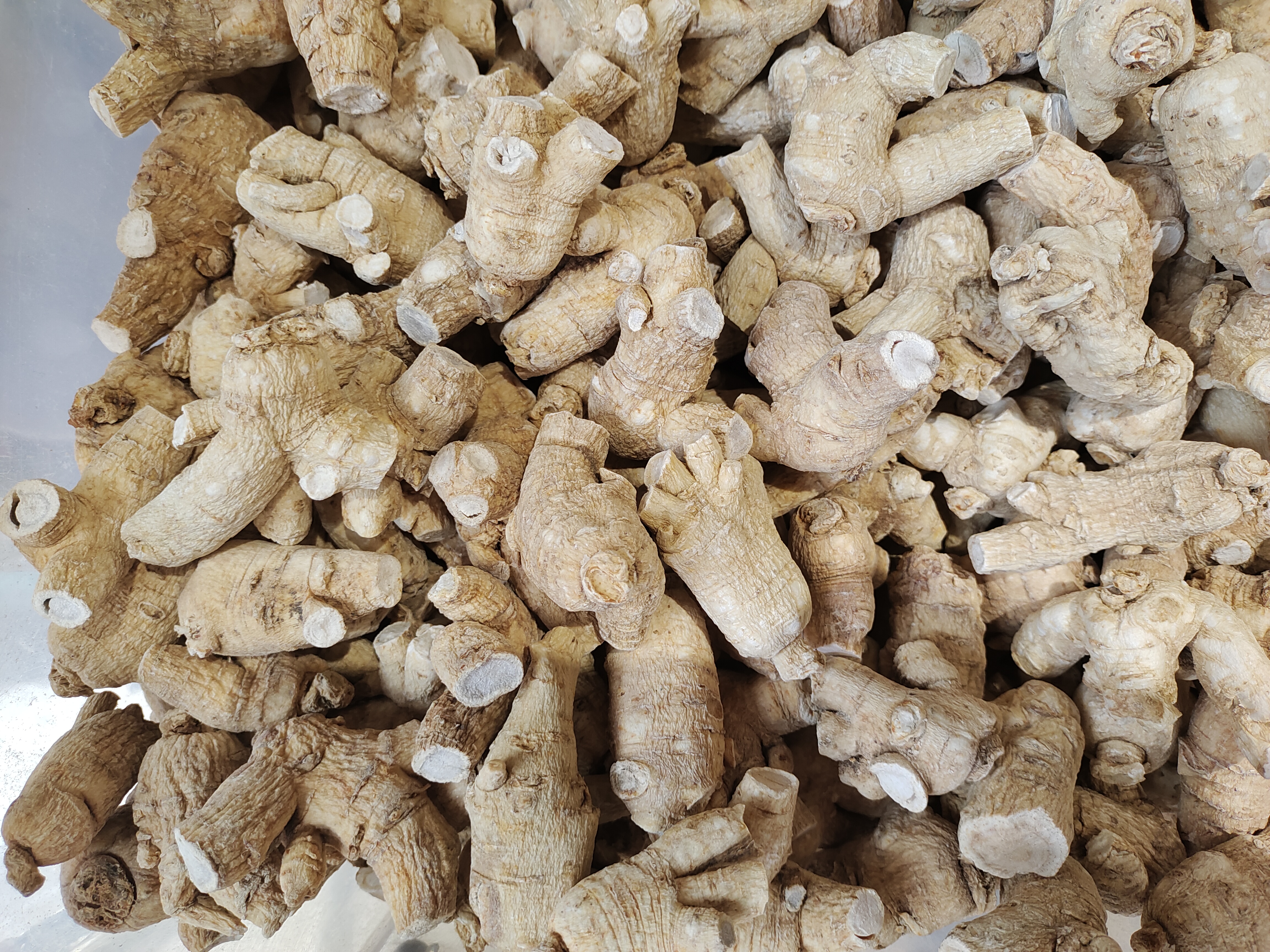 保鲜参与干参对比图