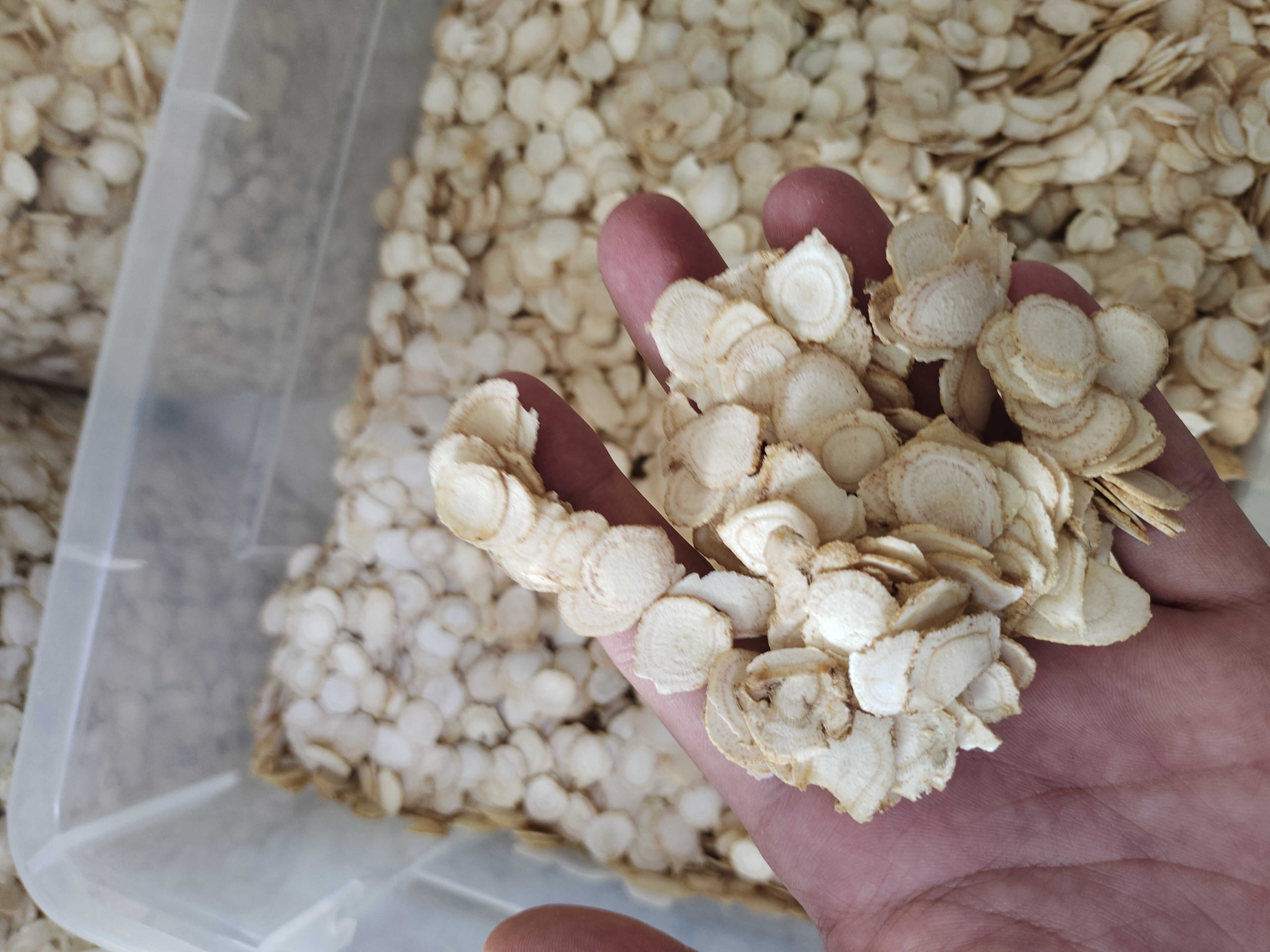 实验室场景：HPLC色谱仪屏幕上清晰显示西洋参切片水提液中Rb1、Rg1、Re三个主峰，旁边标注“抚松产3年生冻干切片，92℃×10min提取”