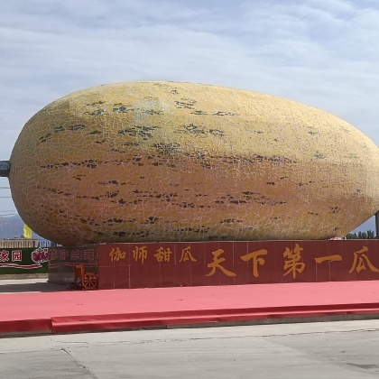 新疆和田黄金蜜25产地行情