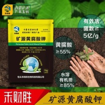 内蒙包头矿源黄腐酸钾禾财胜矿源黄腐酸钾优等品