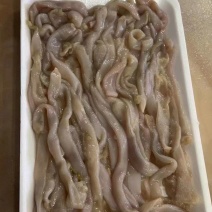 沙虫，免洗200克袋装，餐饮团购**，做韭黄沙虫，沙虫粥