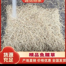 湖北鱼腥草根(折耳根）源头好货品质保证一手货源互利