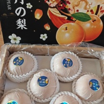 莱西精品秋月梨基地直供整车落地配一件代发各平台对接