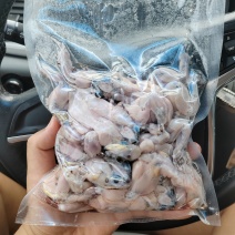 真空包装蟾蜍肉，保证新鲜度，冷链运输
