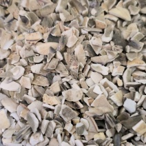 海哈壳中药材批发海哈壳质量保证量大从优