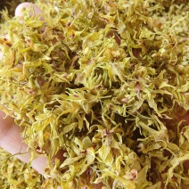 铁皮石斛干花基地直发品质保证量大从优一手货源全国发货