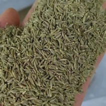 新疆孜然，新下孜然量大从优，批发走货，价格便宜，新店开业