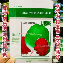 北京心红脆甜水果萝卜种籽甜脆心里美萝卜种子满堂红萝卜种子