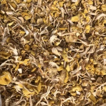 鸡油菌一手货源价格便宜