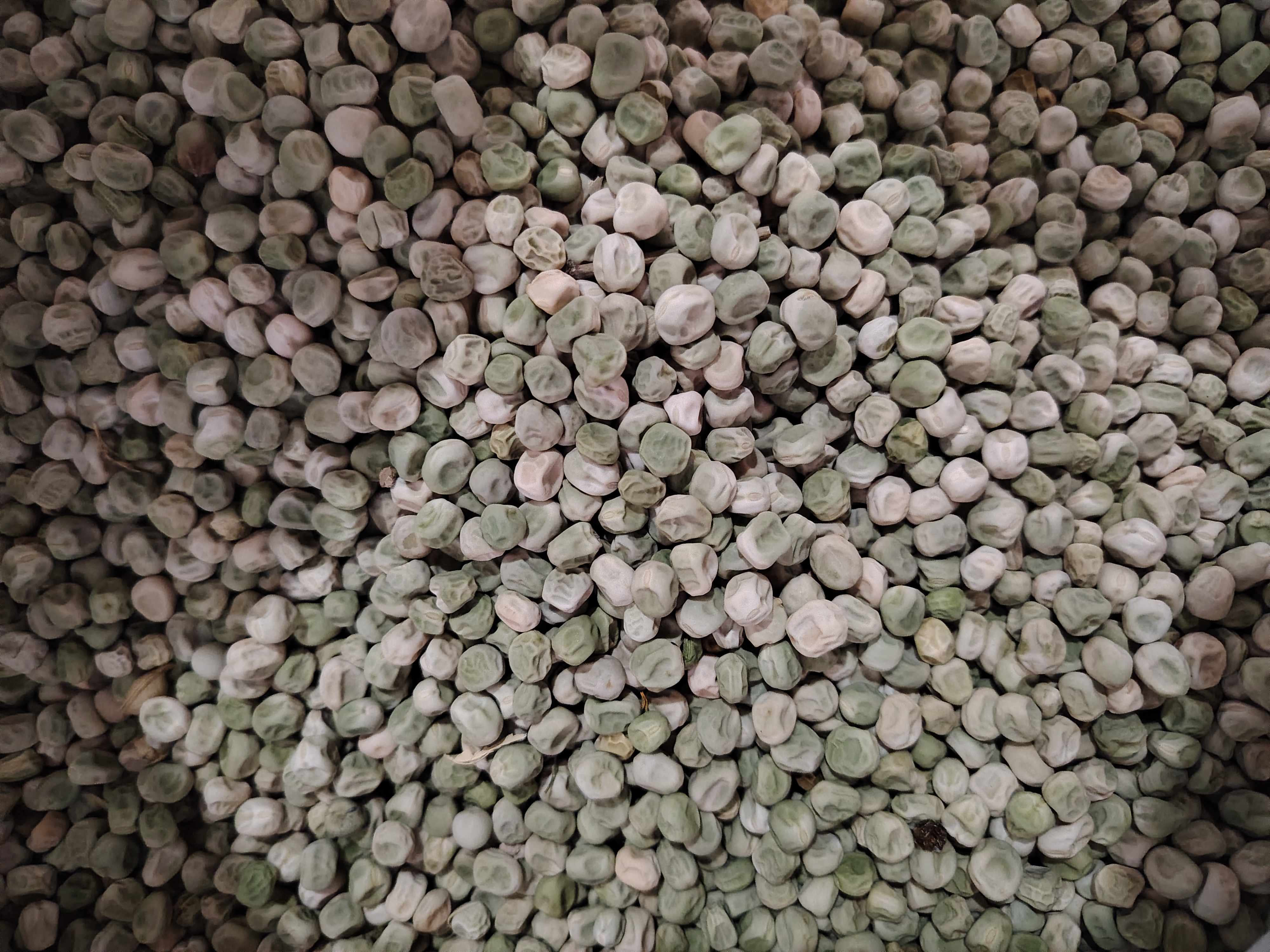 青豌豆营养成分柱状图示意图