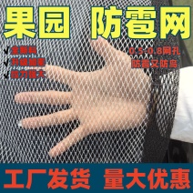 果园防雹网苹果葡萄梨树鱼塘枸杞大棚防冰雹网抗老化厂家直发