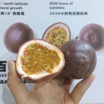金都三号百香果大量现货一手货源厂地直发价格低
