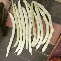 白不老白芸豆上市，基地直供一件代发，欢迎咨询。