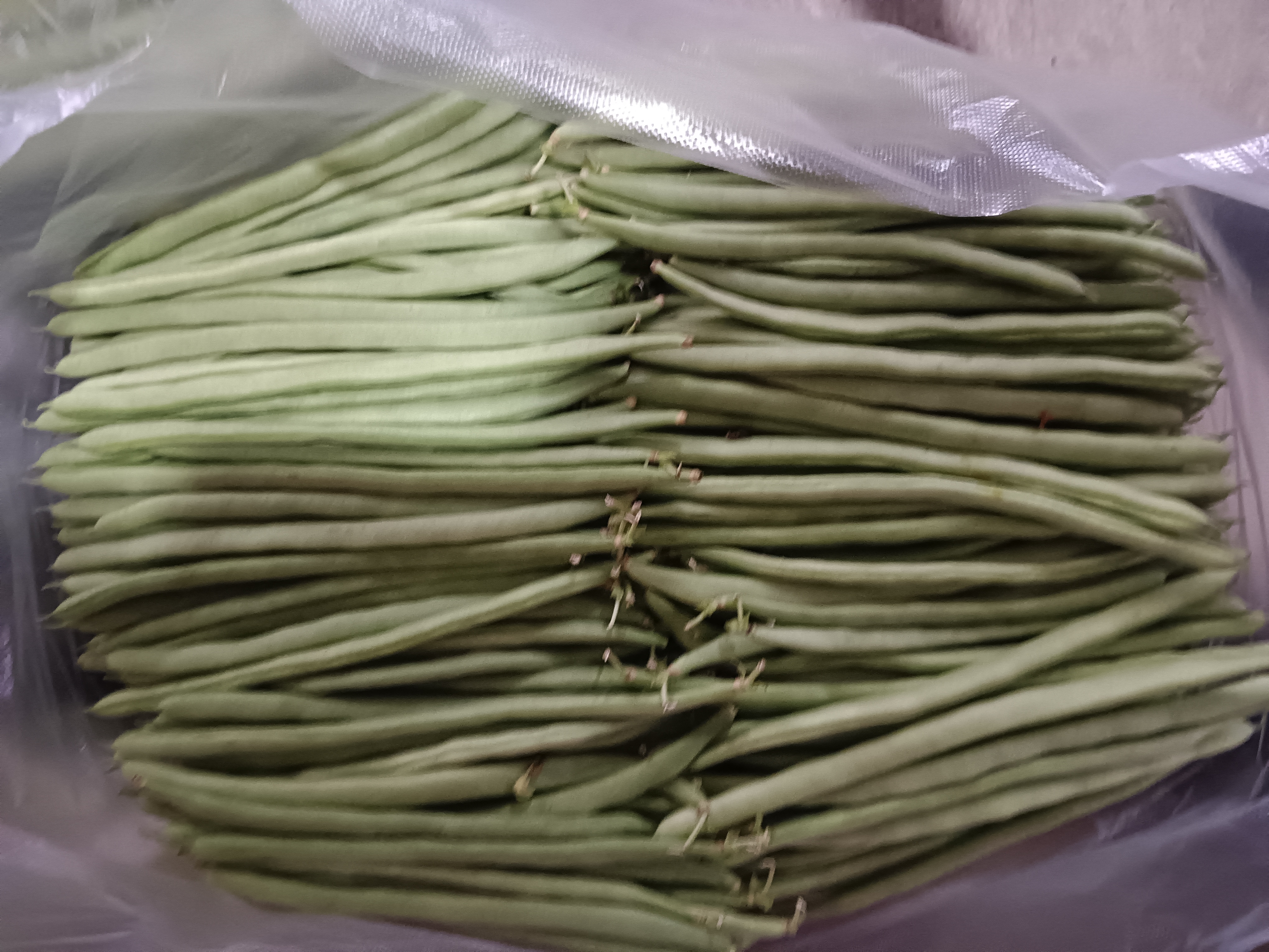 炒熟四季豆装入密封保鲜盒并标注时间的特写