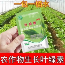 叶绿素叶面肥提苗绿叶片增厚增绿花卉果树蔬菜通用含氨基酸