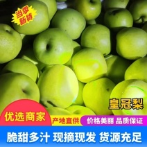 《砀山皇冠梨》产地直供价格美丽欢迎老板致电