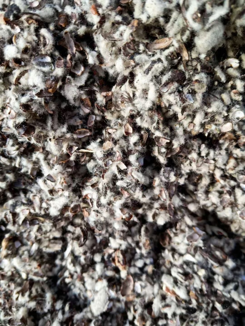 新疆棉籽壳一手货源中壳中绒保证质量全国发货