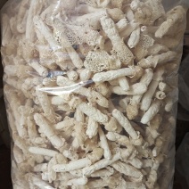 贵州织金竹荪