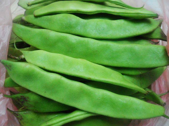 中式快炒实拍:展现绿小扁豆作为功能性食材的日常应用——新鲜翠绿籽粒与彩椒共烹,佐以姜末提味,凸显其抗氧化成分热稳定性及家庭适配性 绿小扁豆烹饪场景:青翠整粒绿小扁豆与鲜红彩椒丁、姜末同炒于铁锅中,油光润泽,呈现鲜明色彩对比