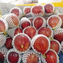 新鲜无花果！自产自销！价格优势？