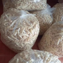 竹荪干品头茬
