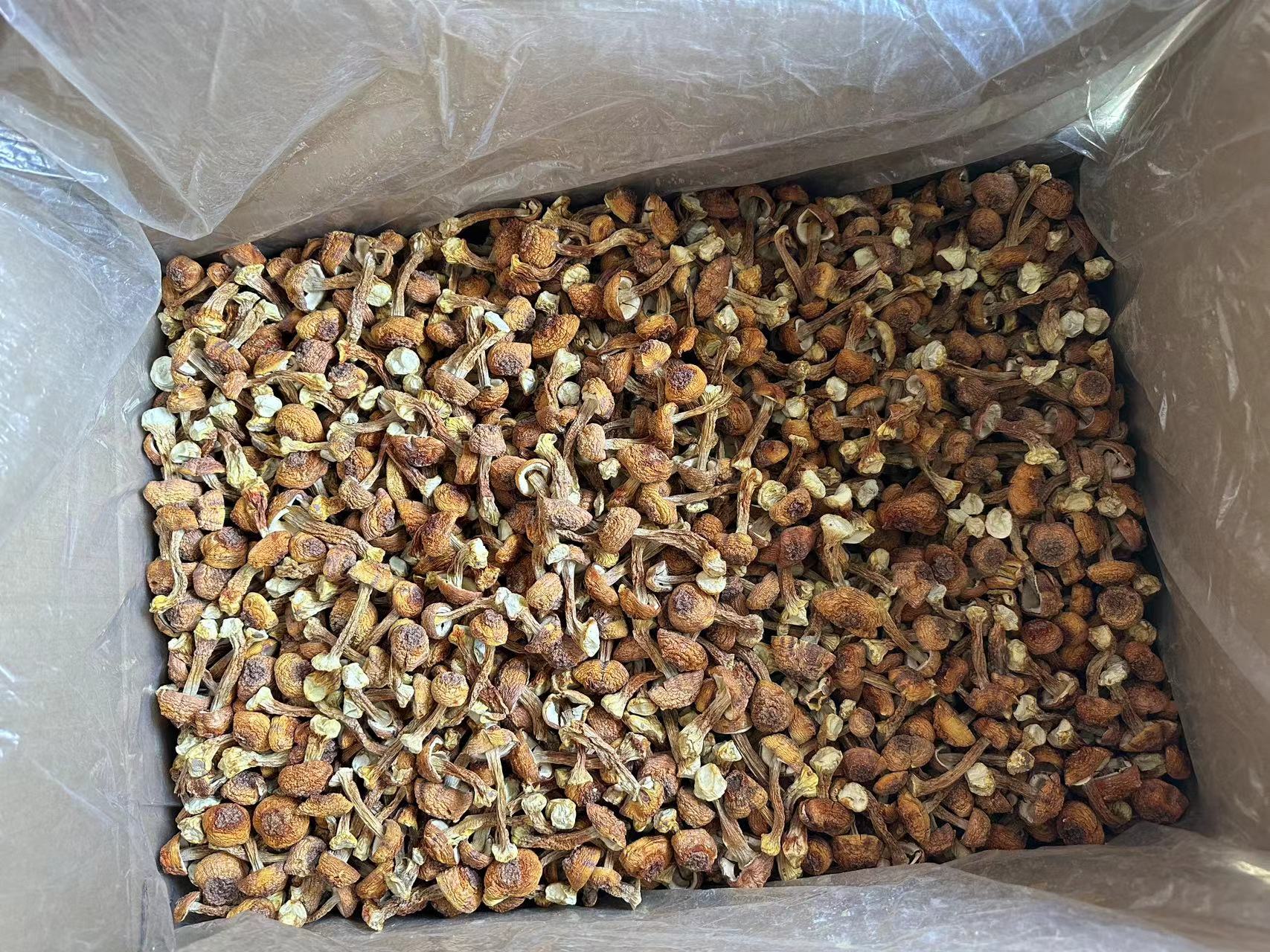 姬松茸与食材搭配图示