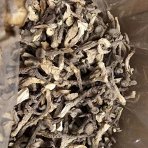 鹿茸菇一手货源价格便宜