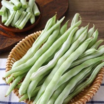 白不老，白芸豆豆角精品货，产地直发一件代发欢迎咨询