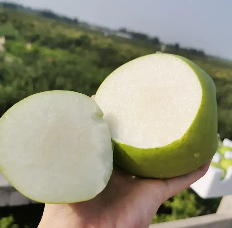 展示一颗完整的绿宝石梨,切开后露出内部梨籽,背景为自然果园环境 绿宝石梨与梨籽特写