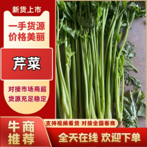 江苏芹菜小香芹产地一手货源量大从优实力代发全国