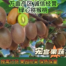 陕西汉中绿心猕猴桃翠香60～100克起步大量有货