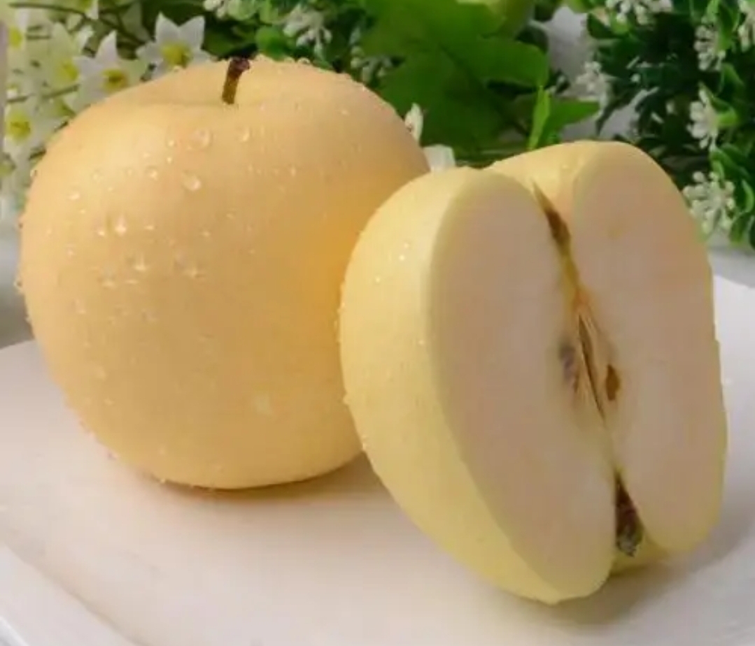 黄元帅苹果切面图,果肉细腻,色泽金黄 黄元帅苹果切面图