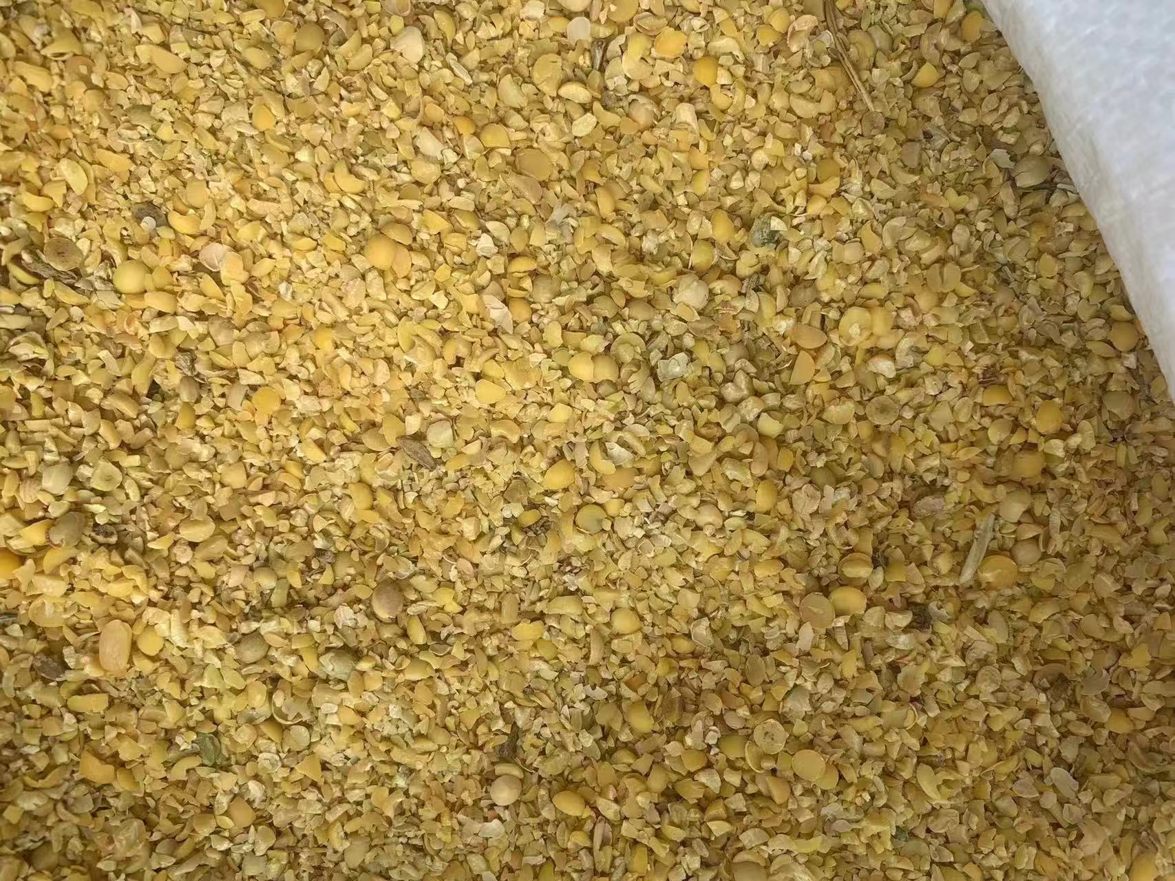 大豆种衣剂处理种子