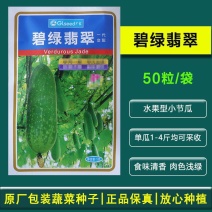 碧绿翡翠小冬瓜种子水果小节瓜种子中熟肉厚腔小