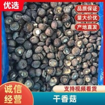 精选特级肉厚冬菇新货烤菇有香味产地批发包邮