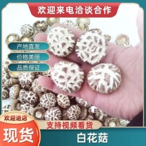 【湖北花菇】深山天白花菇烤菇香味浓郁冬菇原产地直发包邮