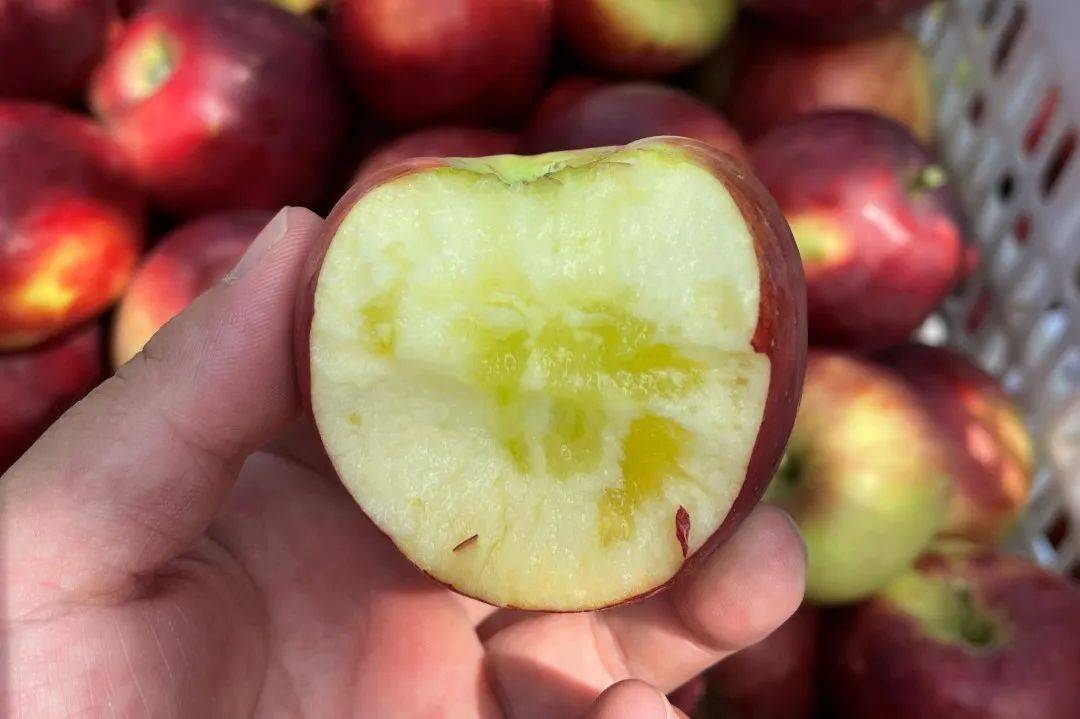 美八苹果切面展示图