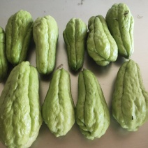 佛手瓜有喜欢吃的老板联系可炖可炒可凉拌，清脆可口。