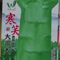 莴笋种子寒笑大哥大改良三青耐寒力强茎杆粗壮肉香