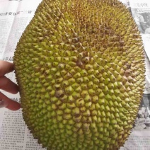 本地菠萝蜜