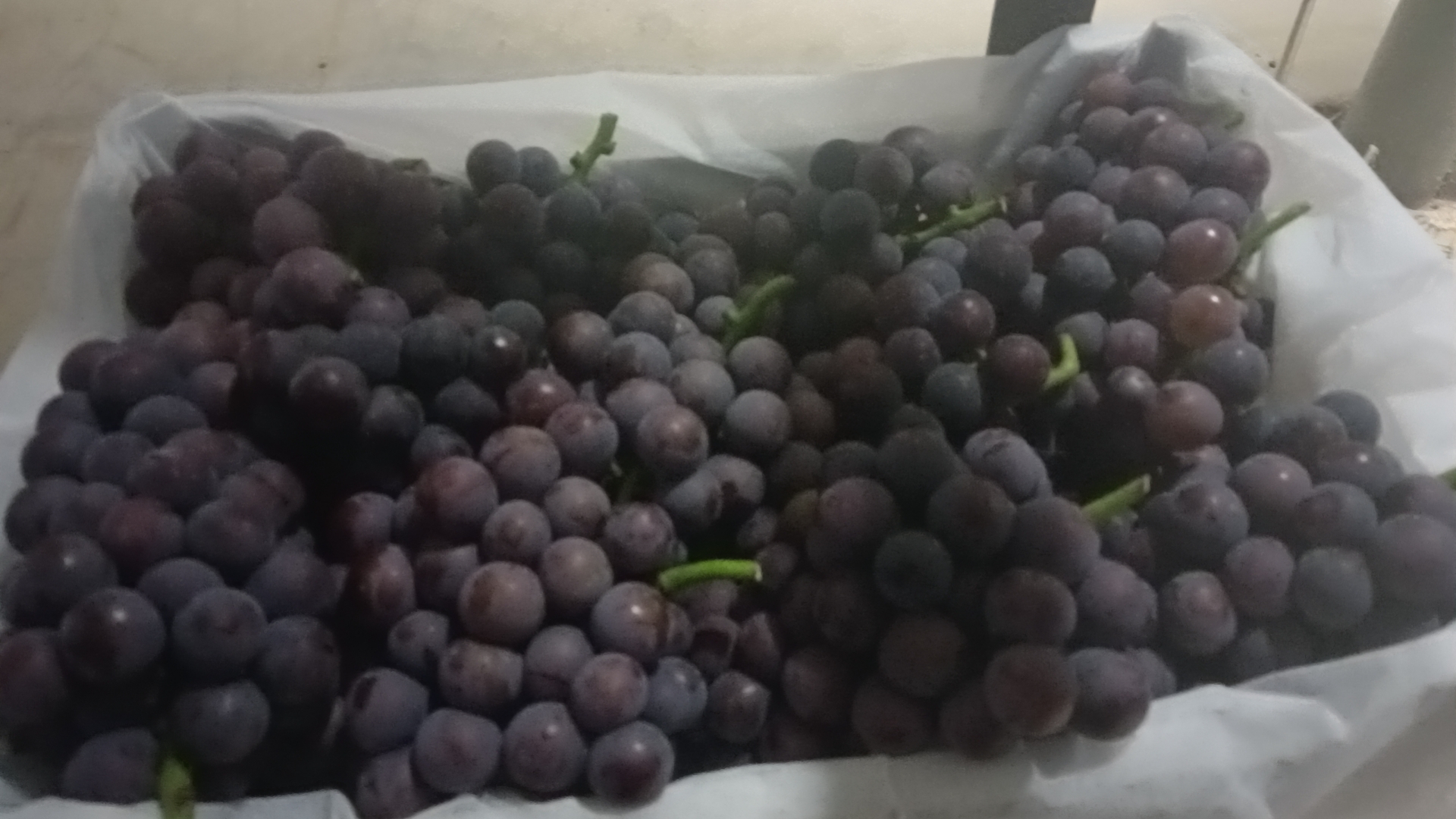 巨峰葡萄与健康饮食搭配