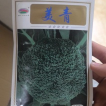 进口，美青亩产3000斤蕾色绿，口感鲜甜