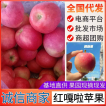 辽宁红嘎拉苹果口感甜脆，个头大，颜色红