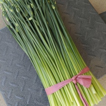 山东平度韭苔韭菜苔精品库存韭苔，即将出库量大从优