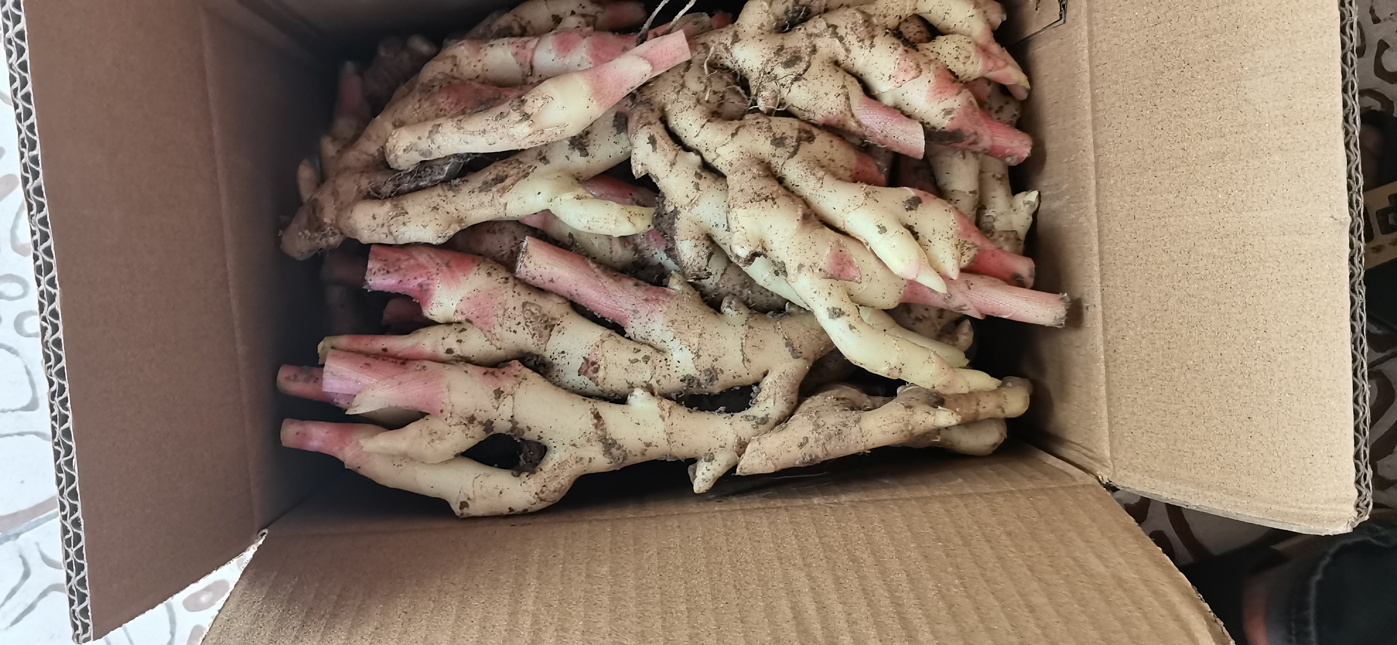 蜂蜜子姜生产场景：洁净车间内工人戴食品级手套，将洗净去皮的鲜嫩子姜片铺入陶缸，缓缓倒入金黄色蜂蜜，缸壁贴有“4月22日·绍兴柯桥子姜·椴树蜜”标签